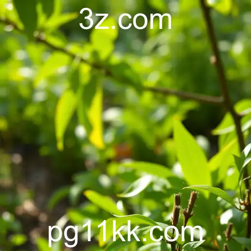 Impactos Inovadores na Economia com a Chegada do 11KK